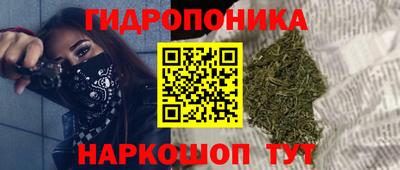 гашик Будённовск