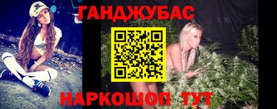 гашик Будённовск