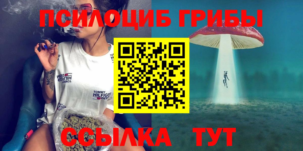 Псилоцибиновые грибы Psilocybine cubensis Ликино-Дулёво